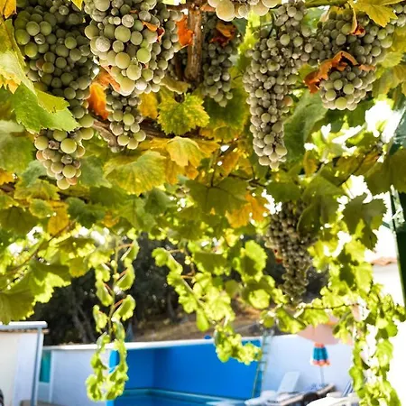 펜션 Cortijo La Vinolilla En Zona Rural 몬테프리오
